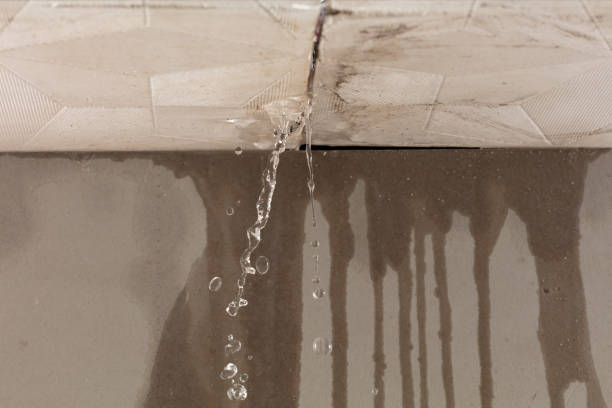 Professional Water Damage Repair technician working in New Market, AL